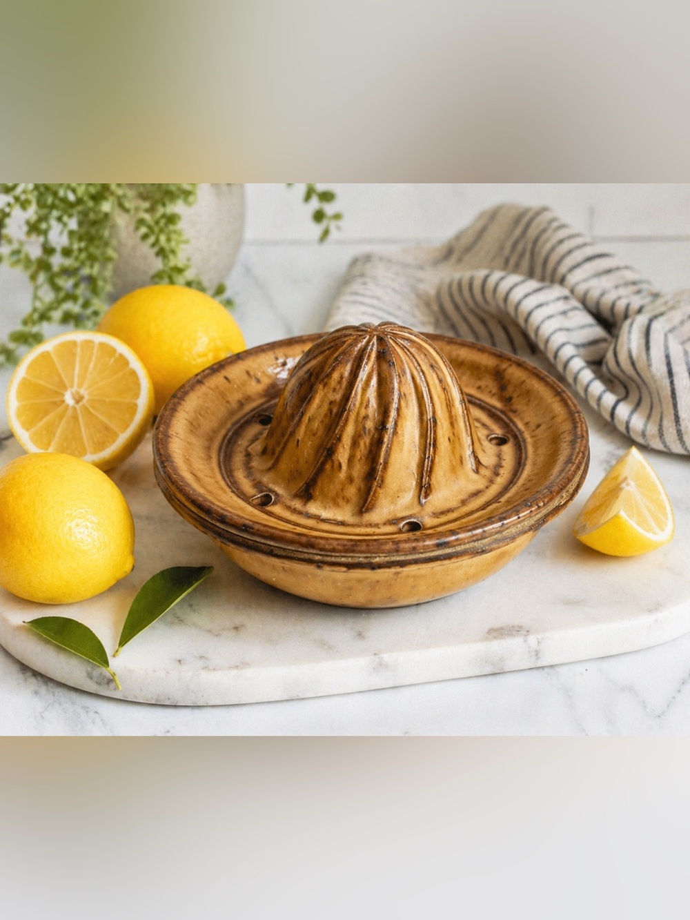 Vintage JBK Pottery Canada Citrus Juicer Bowl – Stoneware Lemon Orange Squeezer